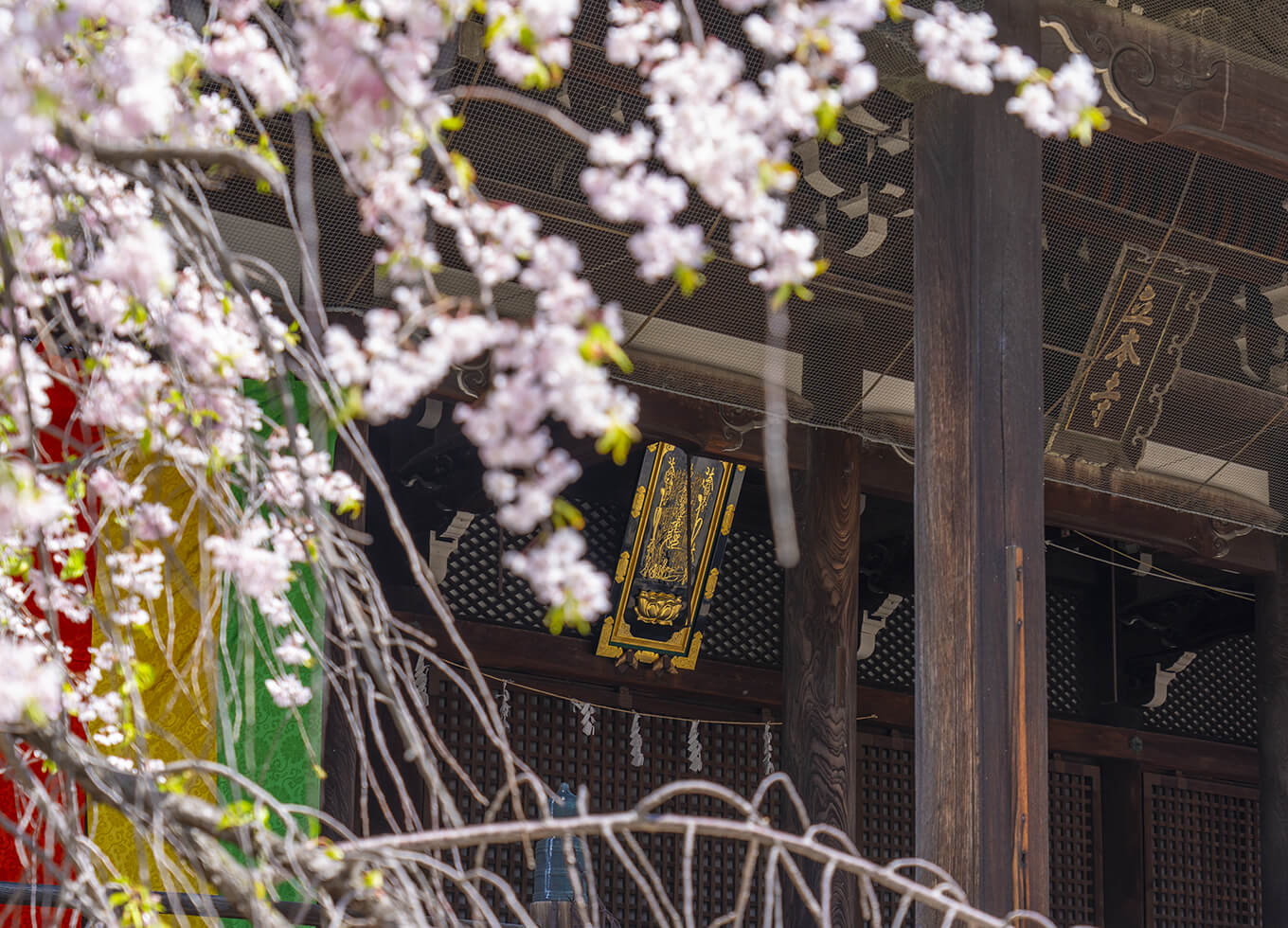 愛知、岐阜をはじめ全国のお寺からご依頼をいただいています