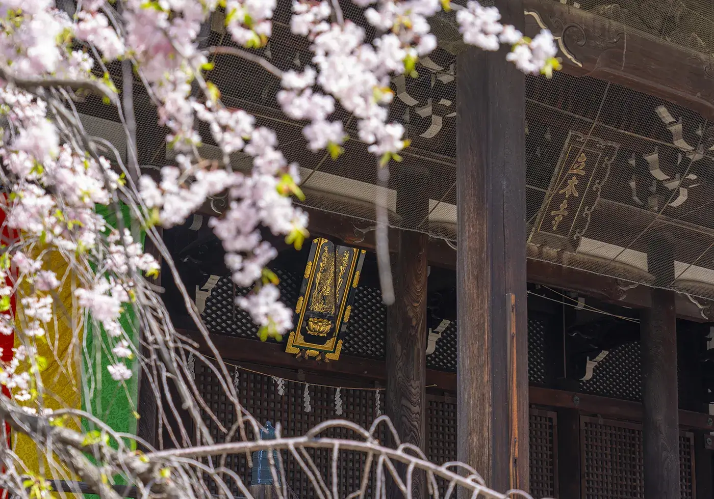 全国の寺院より直接ご相談をいただいています